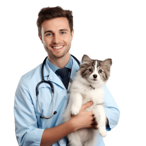 Image Vet Doctor