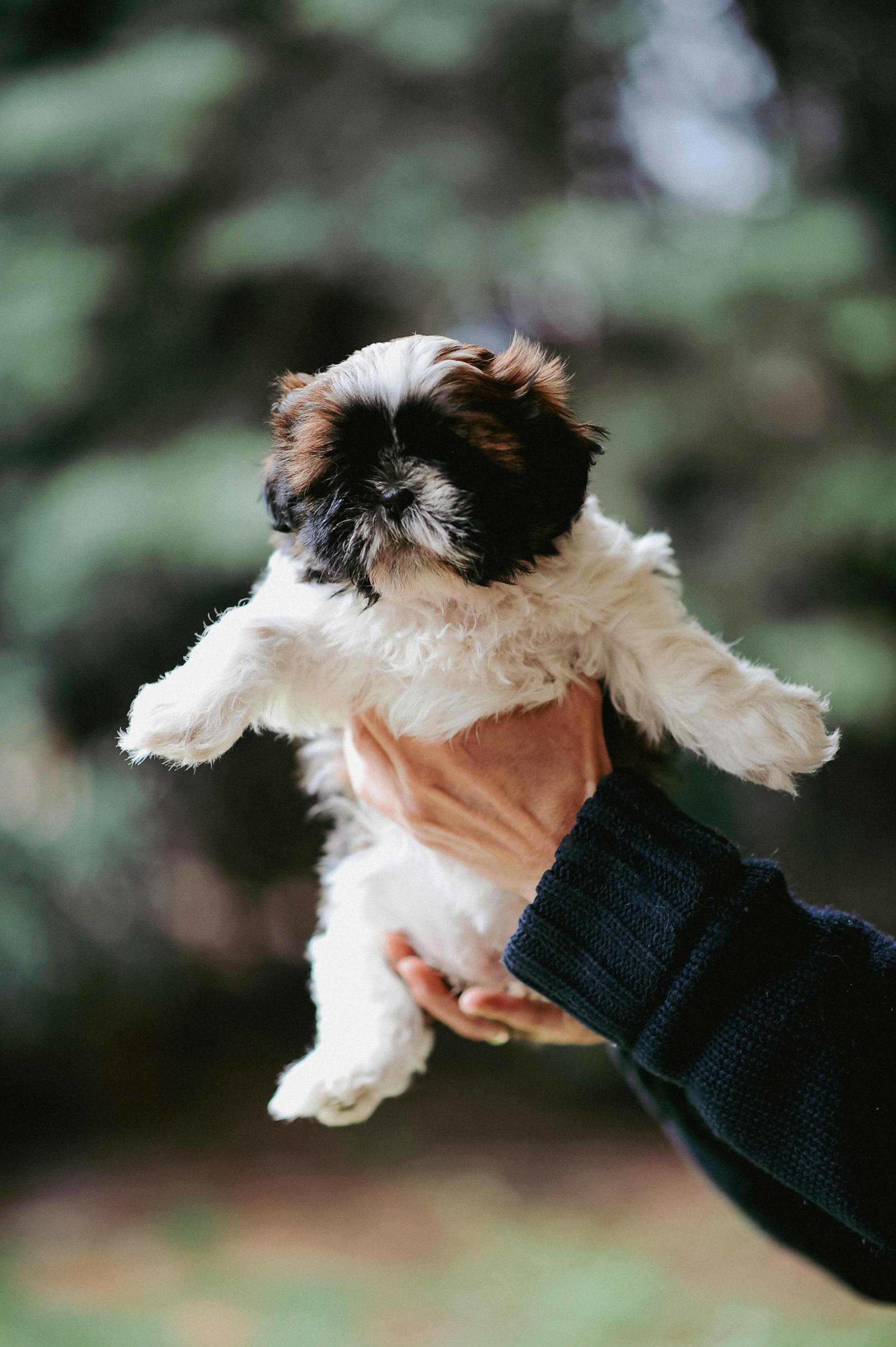 Vet profile
